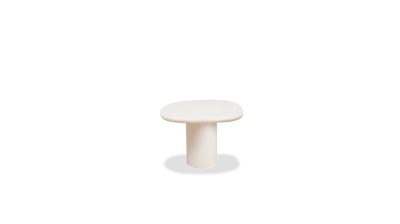 WEN-PUDD-IVTU-SMALL