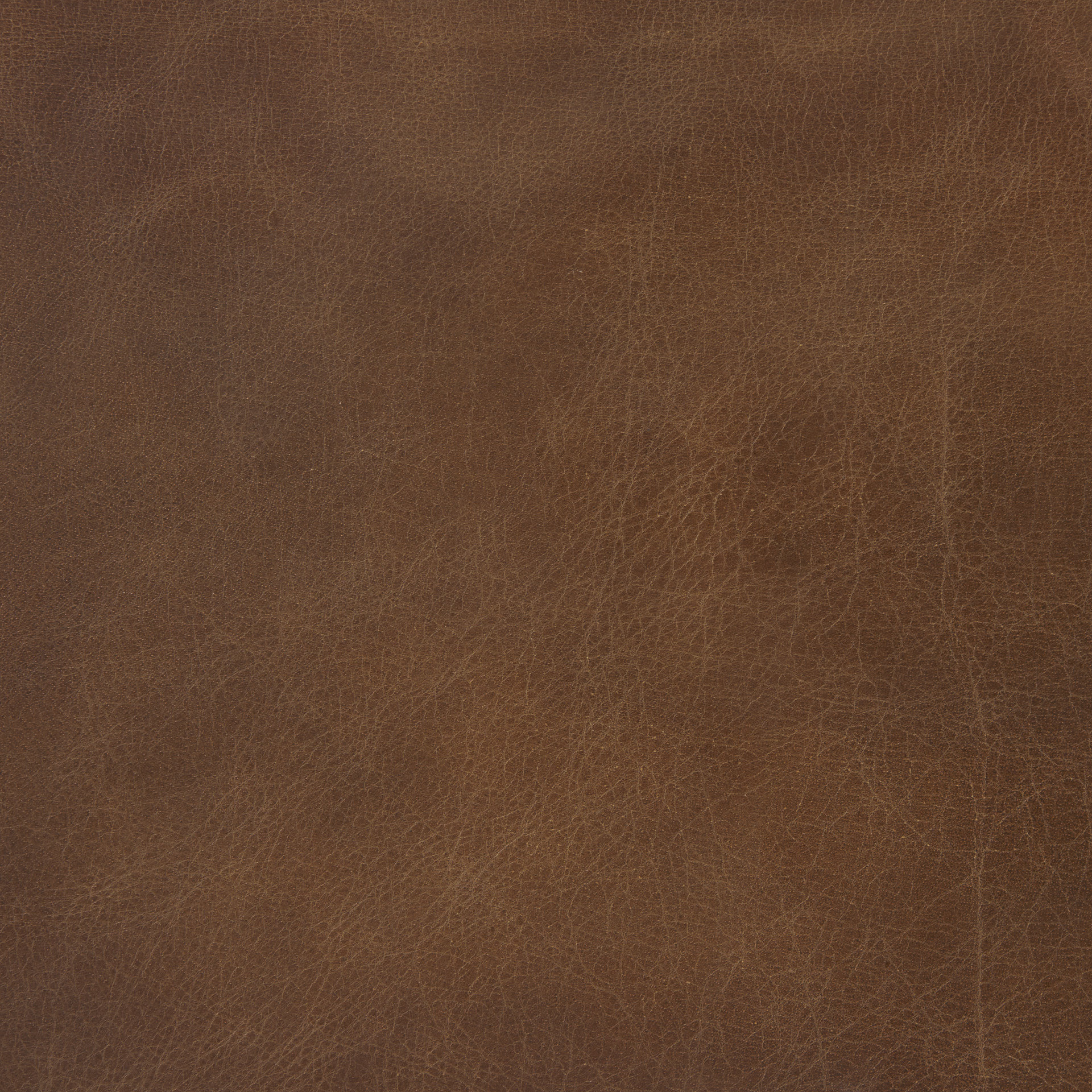 Berbick-20.5-x-24.75-x-39-Medium-Brown-Leather-W-Iron-Frame-Counter-Stool-1