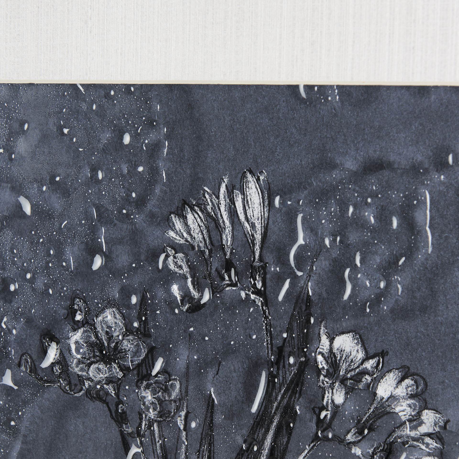 Botanical-sketches-III-Blue-by-Mercana-Studio-Hand-Embelished-Framed-Art-Print-Matted-under-Glass-6