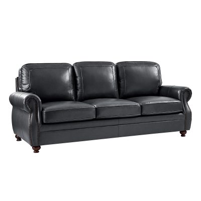Gerardo-Genuine-Leather-Rolled-Arm-Nailhead-Trim-Sofa