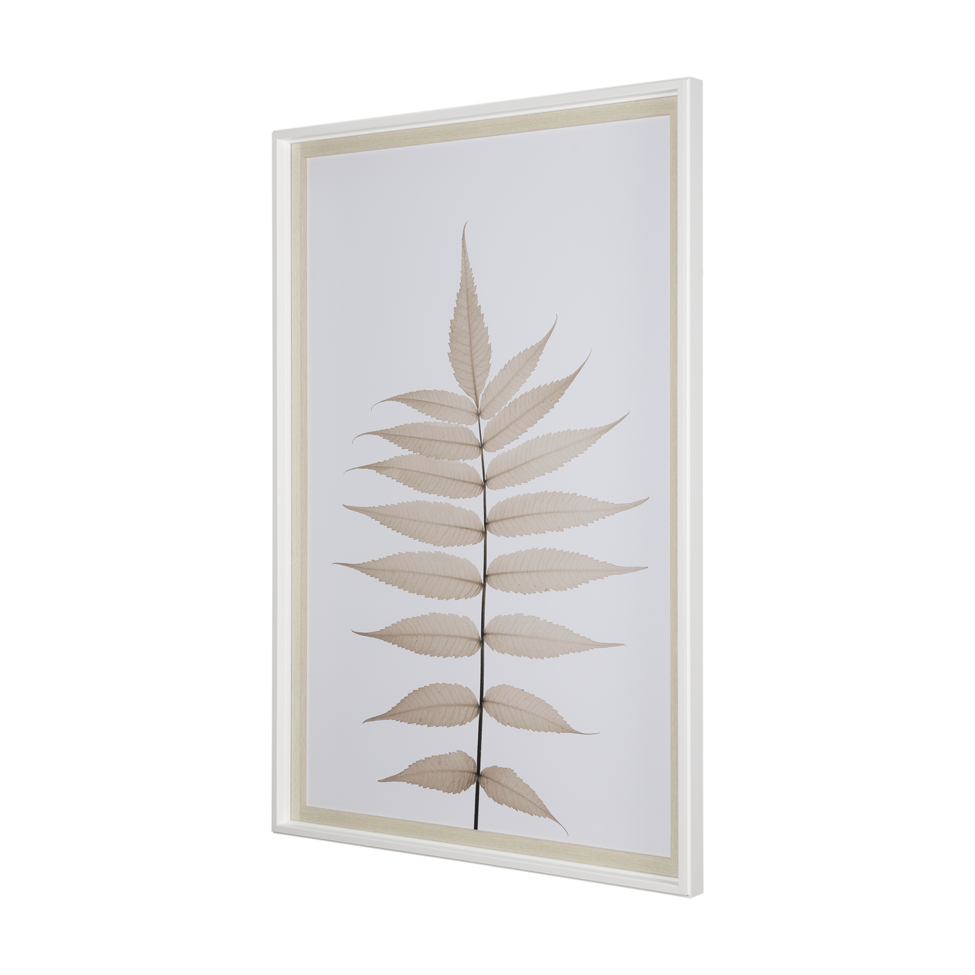 Lithe-Leaves-by-Assaf-Frank-a-Framed-Art-Print-Matted-under-Glass-3