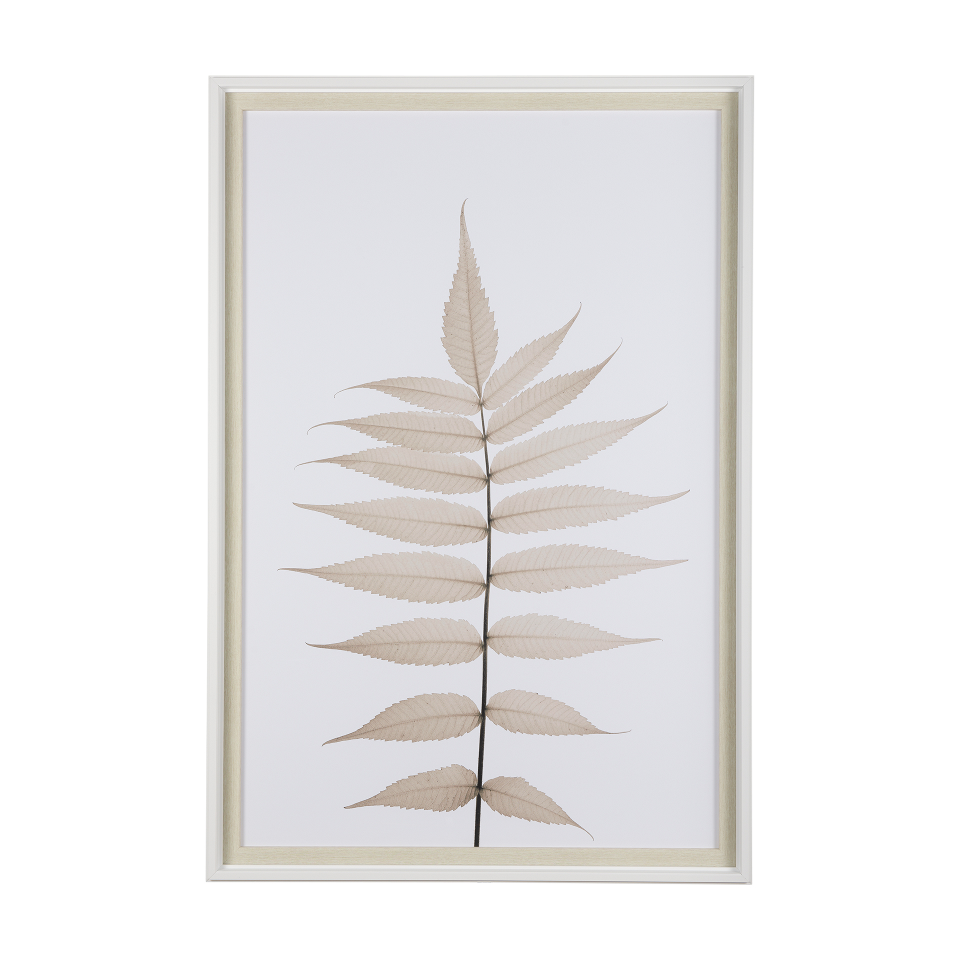 Lithe-Leaves-by-Assaf-Frank-a-Framed-Art-Print-Matted-under-Glass