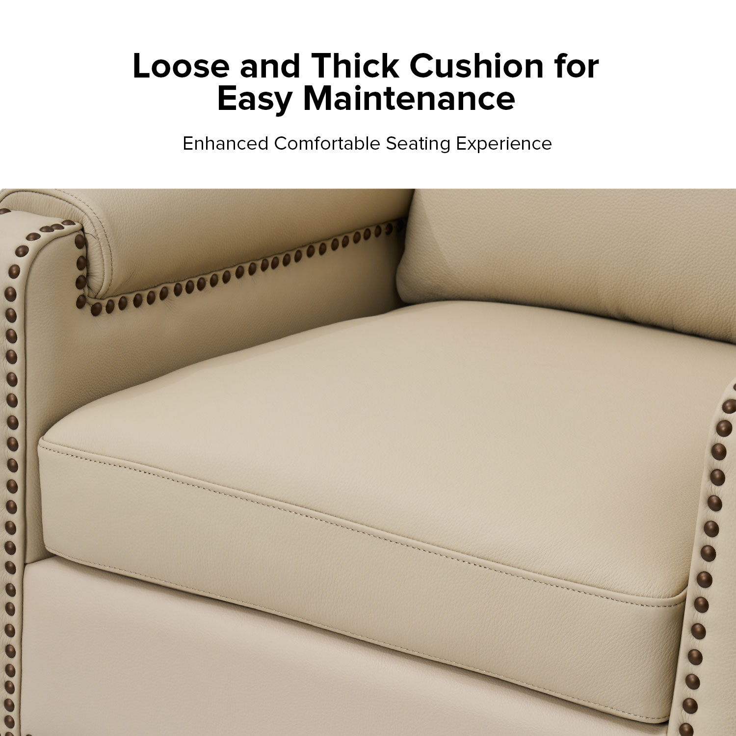 Raimund-Beige-Genuine-Leather-Nailhead-Trim-Armchair-4