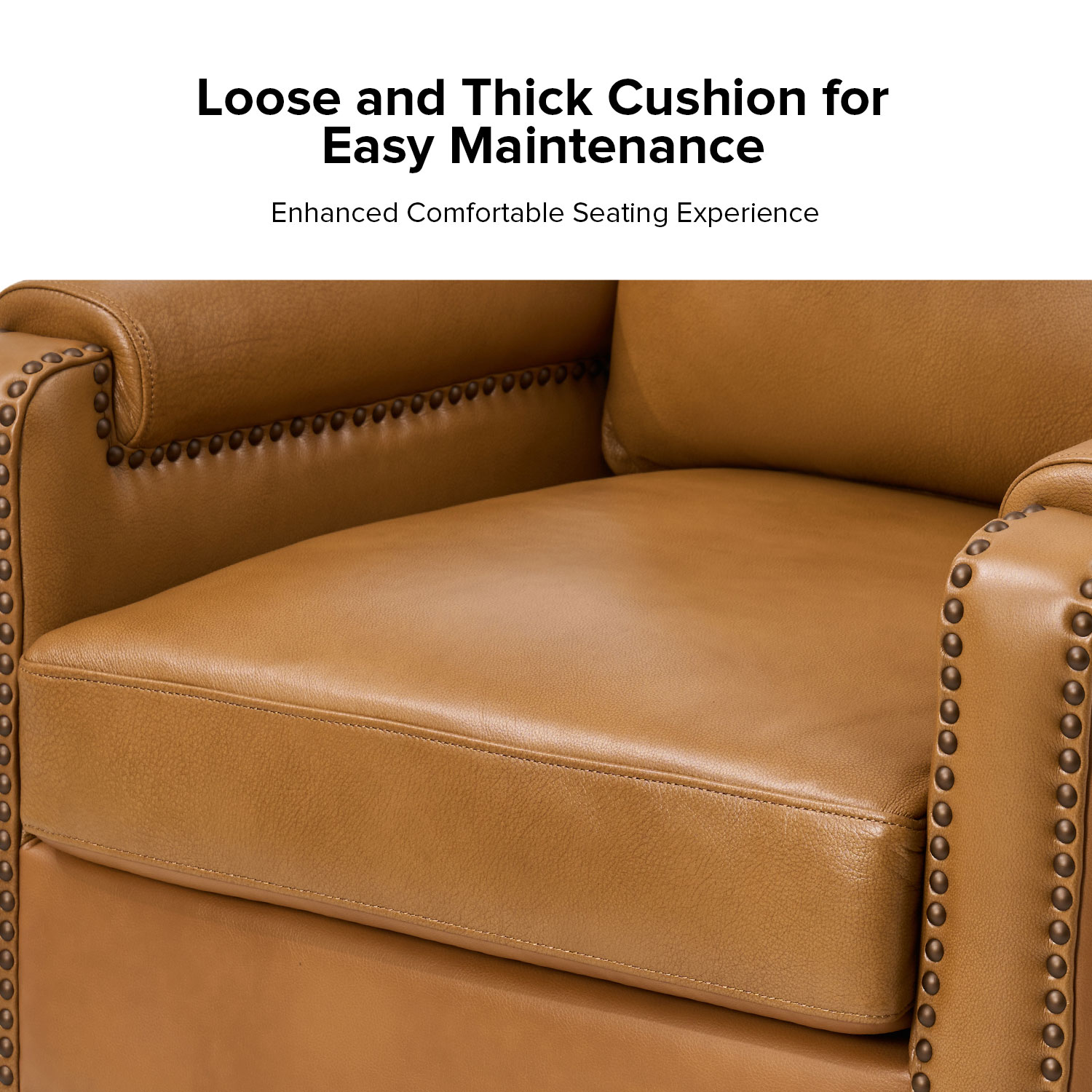 Raimund-Camel-Genuine-Leather-Nailhead-Trim-Accent-Armchair-3