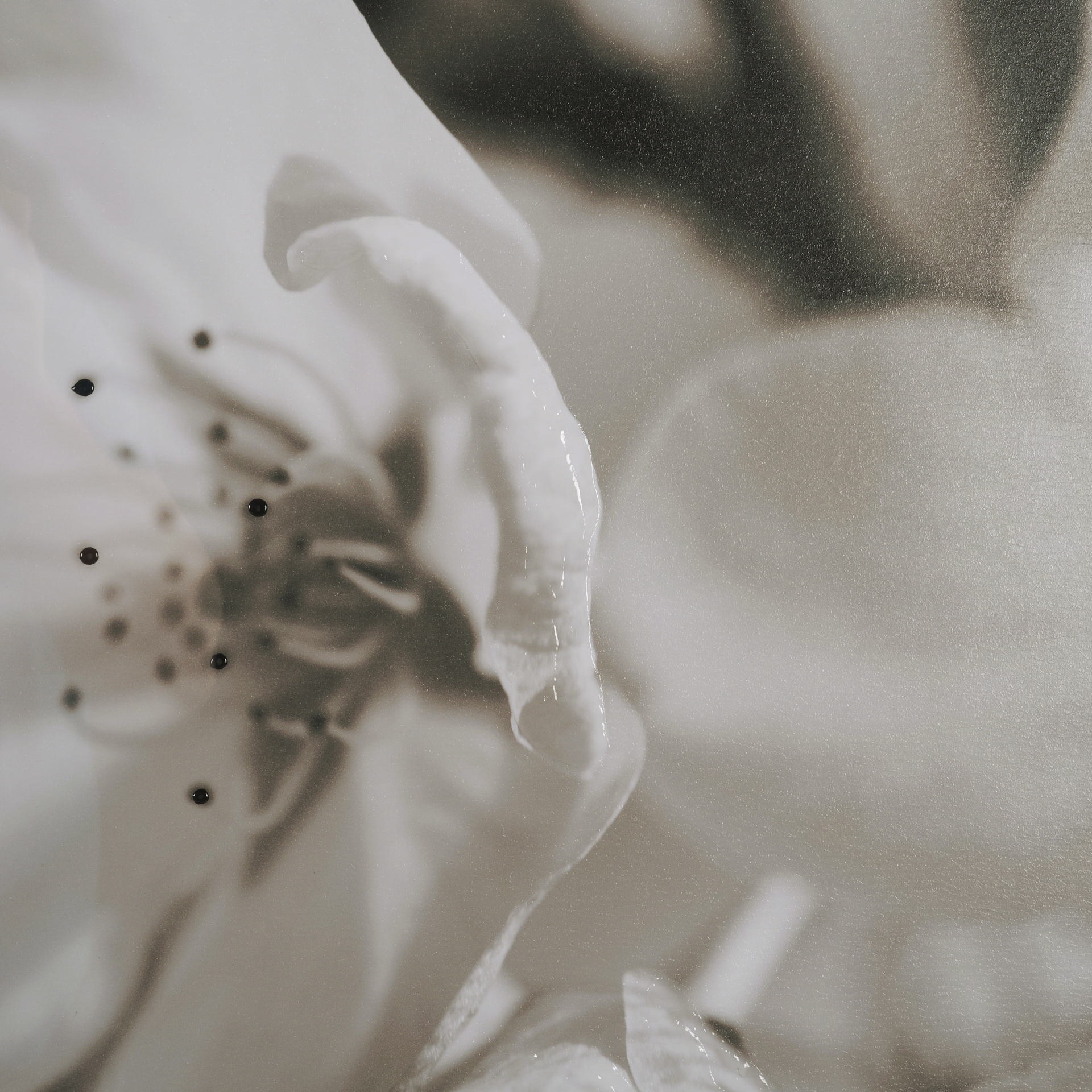 Soft-Petals-I-by-Nancy-Crowell-a-Hand-Embelished-Textured-Framed-Art-Print-Matted-under-Glass-6