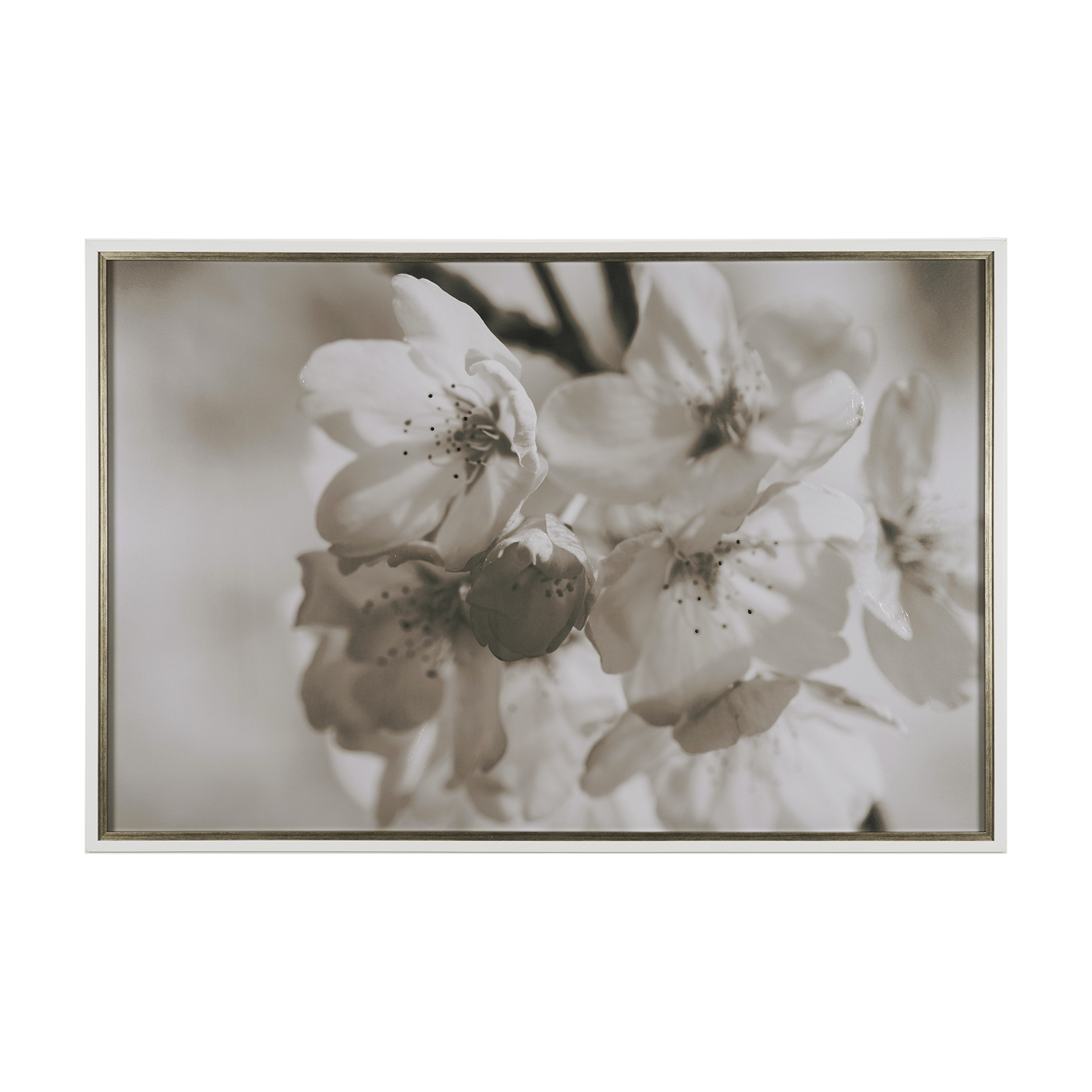 Soft-Petals-I-by-Nancy-Crowell-a-Hand-Embelished-Textured-Framed-Art-Print-Matted-under-Glass