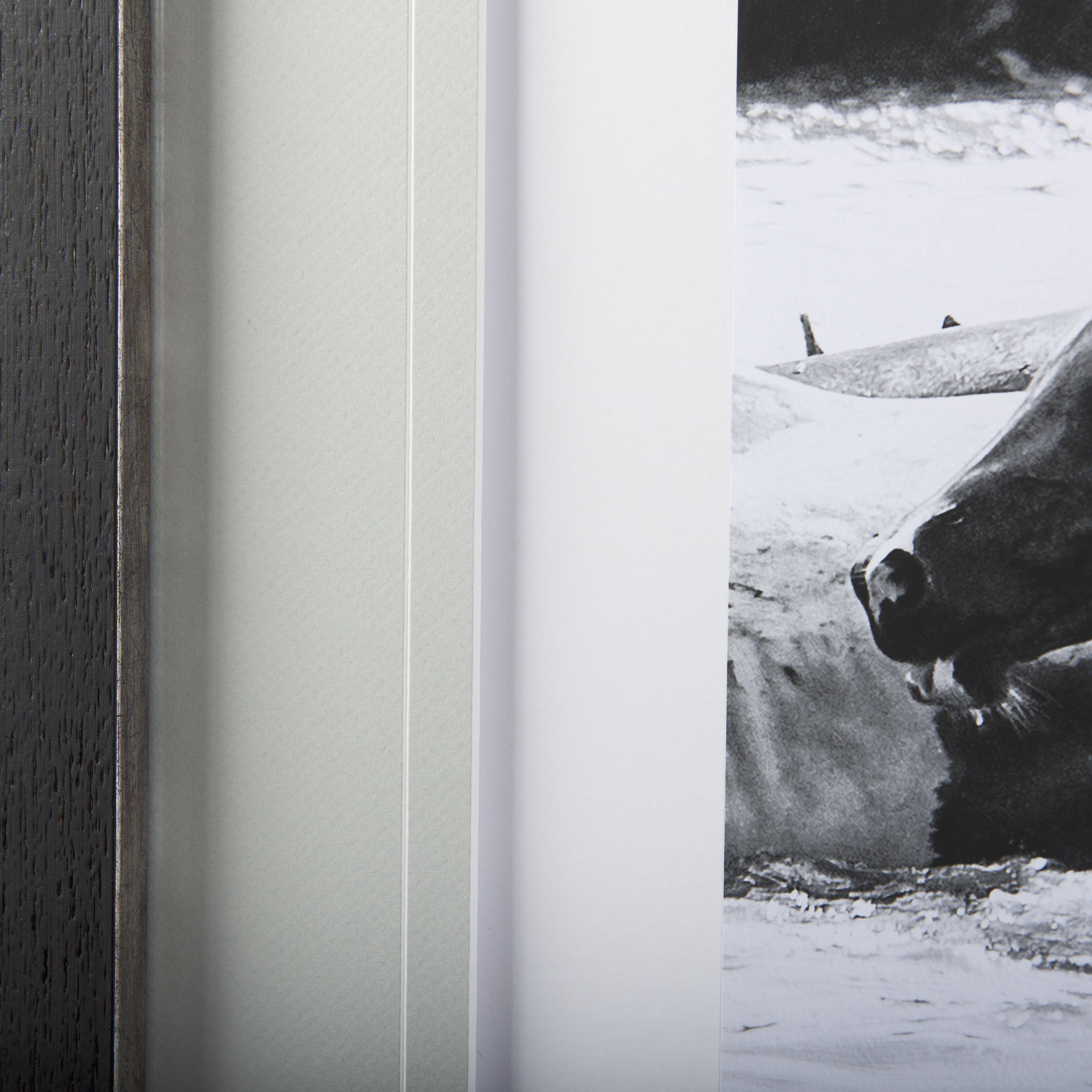 Water-Horses-III-by-PHBurchett-a-Framed-Art-Print-Matted-under-Glass-6