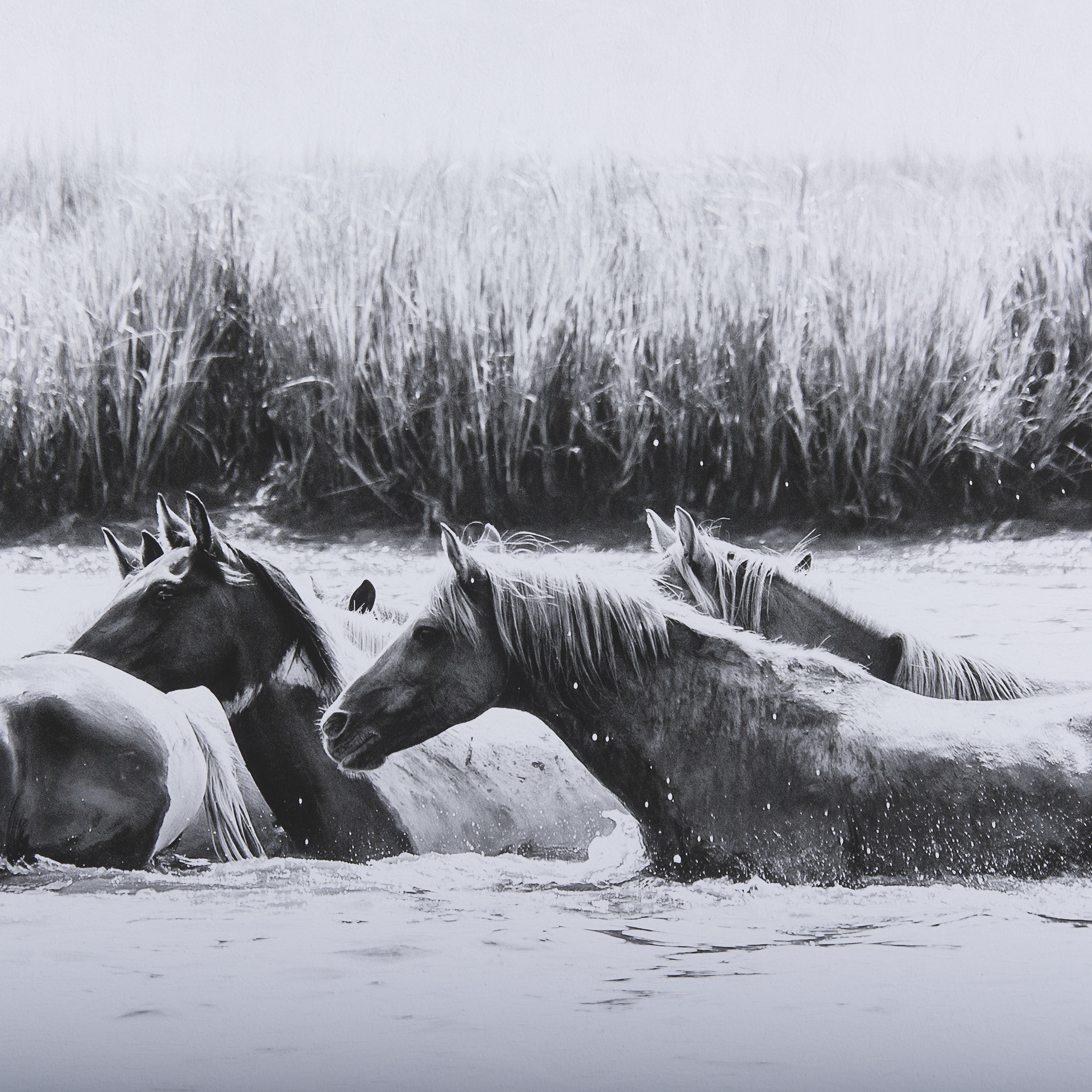 Water-Horses-III-by-PHBurchett-a-Framed-Art-Print-Matted-under-Glass-7
